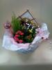 �l�CNo.2