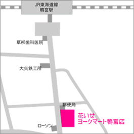 [N}[g{X